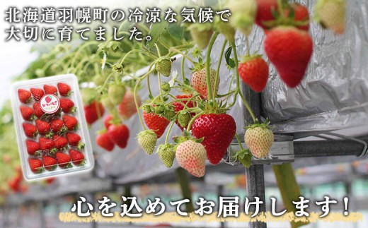 【先行予約：数量限定】北海道羽幌産 なついちご1kg（350g×3）（2026年7月より発送）