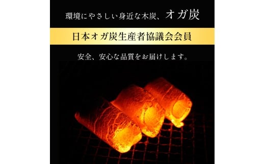 さくら炭　オガ炭10キロ✖️2 バーベキューやアウトドアシーンでの使用に最適です。 さくら炭 オガ炭10キロ✖️2 バーベキューやアウトドアシーンで