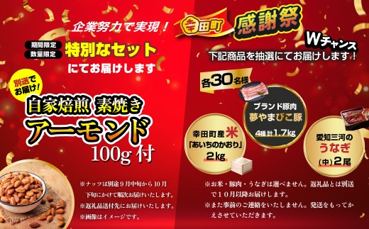 エアウィーヴ スマート02 セミダブル 睡眠 快眠 寝具