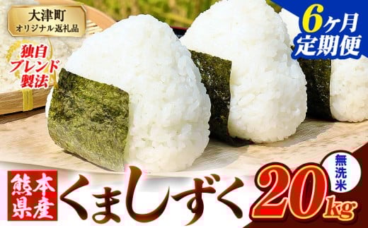【6ヶ月定期便】無洗米 熊本県産 ブレンド米 くましずく 20kg 熊本県産 ふるさと納税 無洗米 精米 米 こめ ふるさとのうぜい コメ お米 おこめ《申込み翌月から発送》