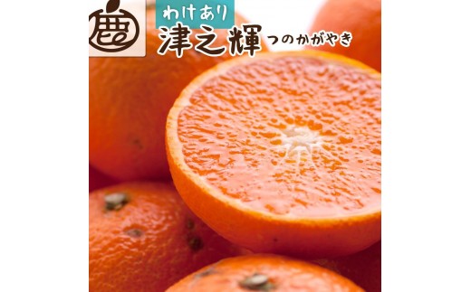［先行予約］家庭用 津之輝1kg+250g（傷み補償分）［訳あり］［つのかがやき］［せとかに似た柑橘］［IKE57］ 2267937 - 和歌山県和歌山市
