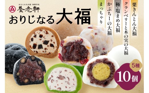 養老軒の大福5種詰合せ　10個入│季節 夏 秋 人気 旬 スイーツ 和スイーツ おやつ おかし お菓子 和菓子 日時指定可 302922 - 岐阜県川辺町