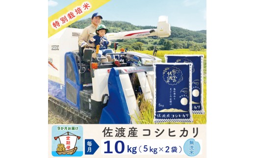 【新米予約 9か月定期便】佐渡島産コシヒカリ 無洗米10Kg 令和7年 特別栽培米 農家直送 2267288 - 新潟県佐渡市