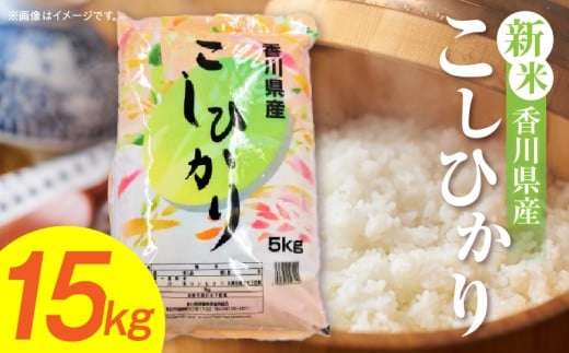 【令和7年産】香川県産こしひかり 15kg（紙袋配送）|新米 コシヒカリ こしひかり 15kg 米 白米 ごはん ご飯 朝食 白ご飯 おにぎり お弁当 おむすび お米 国産 美味しい ツヤ モチモチ 精米 おすすめ 香川県 三木町 |_mk132-110-03 2268945 - 香川県三木町