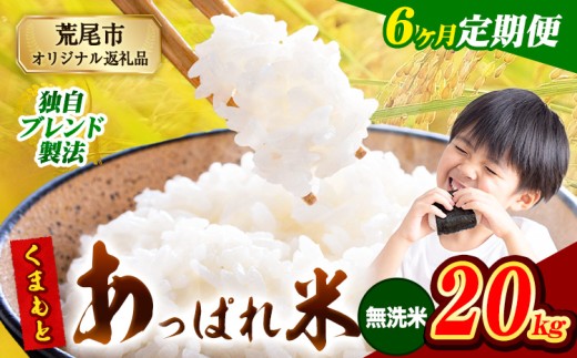 【6ヶ月定期便】熊本県産 くまもとあっぱれ米 ブレンド米 20kg 熊本県産 ふるさと納税 無洗米 精米 米 こめ ふるさとのうぜい コメ お米 おこめ《お申込み月の翌月から発送予定》