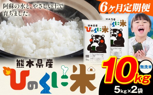 【6ヶ月定期便】 無洗米 ひのくに米 10kg 《お申込み月の翌月から出荷開始》 食品 米 こめ コメ 熊本県産 ふるさと納税 お米 おこめ 熊本