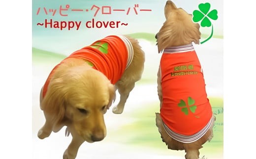 超大型犬用 犬服 【男の子用】 1170365 - 三重県四日市市