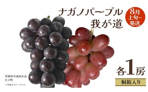 【 桐箱入り 】 ナガノパープル と 我が道  (各１房)【2025年8月上旬発送開始】(茨城県共通返礼品：大子町)  ぶどう 葡萄 フルーツ 果物 贈答用 ギフト 贈り物
