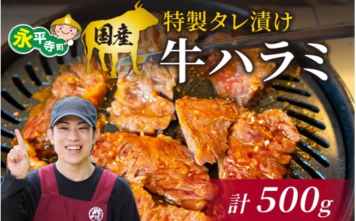国産 特製タレ漬け牛ハラミ 250gx2パック（計500g） [B-019007] 2160722 - 福井県永平寺町