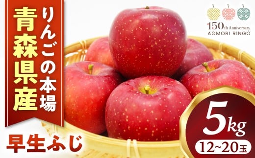 りんご【早生ふじ】約5kg（12～20玉）【2025年産・先行予約】★2025年9月下旬～10月下旬頃まで発送予定★ りんご 林檎 リンゴ 国産 早生 ふじ フルーツ 果物 贈答 土産  青森県 三戸町 R0409 2250712 - 青森県三戸町