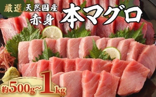 【容量選べる】 厳選 天然本マグロ 赤身 500g 1kg 以上 国産 鮮魚 高知県 室戸市 刺身 刺し身 漬け丼 海鮮丼 おかず 魚介類 海鮮 海産物 まぐろ 本まぐろ 鮪 ブロック 500グラム 惣菜 冷凍 スピード発送