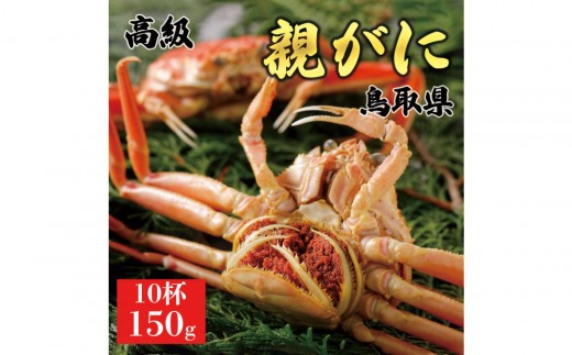 1070.【2025年11月発送】鳥取県産 特撰 親がに 姿【セコガニ】（茹）【訳あり】150g 10杯