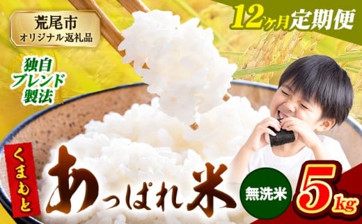 【12ヶ月定期便】熊本県産 くまもとあっぱれ米 ブレンド米 5kg 熊本県産 ふるさと納税 無洗米 精米 米 こめ ふるさとのうぜい コメ お米 おこめ《お申込み月の翌月から発送予定》