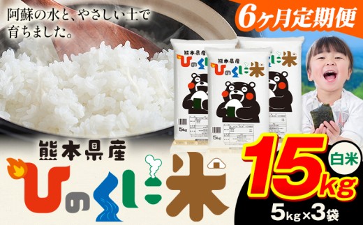【6ヶ月定期便】 白米 ひのくに米 15kg 《お申込み月の翌月から出荷開始》 食品 米 こめ コメ 熊本県産 ふるさと納税 お米 おこめ 熊本