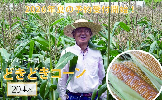 2026年夏の早期予約受付開始！きたむら農園『どきどきコーン』×20本セット（約8～8.5kg相当）生で食べられる信濃町名産とうもろこし／スイートコーンの新定番品種 令和8年7月下旬～8月下旬に出荷予定 【長野県信濃町ふるさと納税】 1366444 - 長野県信濃町
