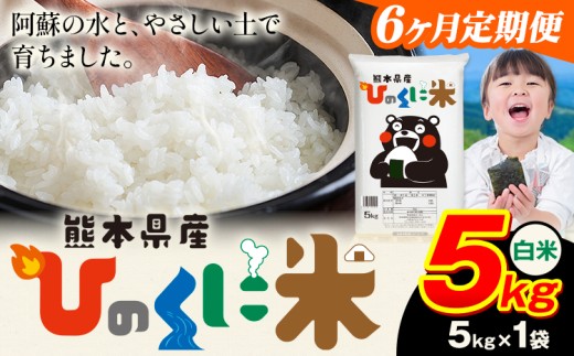 【6ヶ月定期便】 白米 ひのくに米 5kg 《お申込み月の翌月から出荷開始》 食品 米 こめ コメ 熊本県産 ふるさと納税 お米 おこめ 熊本