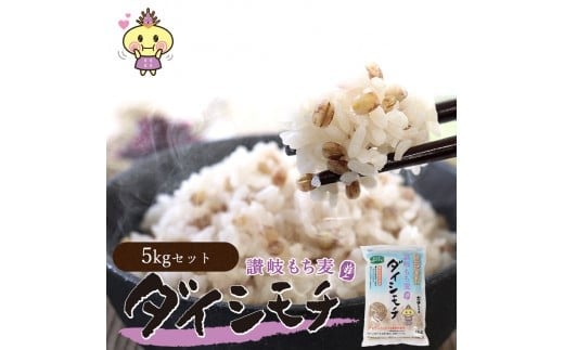 讃岐もち麦「ダイシモチ」5kg(1kg×5袋) 保存に便利なジップ付き 393749 - 香川県善通寺市