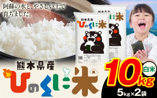白米 ひのくに米 10kg 《9月下旬-11月上旬頃出荷》 食品 米 こめ コメ 熊本県産 ふるさと納税 お米 おこめ 熊本 2178574 - 熊本県産山村