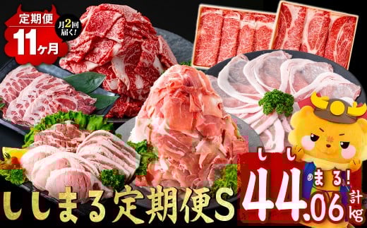 【定期便11ヶ月】ししまる定期便S(11ヶ月連続 月1～2回お届け！・計44.06kg) 黒毛和牛 黒豚 国産牛 九州産 豚 豚肉 肉 牛肉 国産 4等級 小分け 真空包装 冷凍 t0372-001