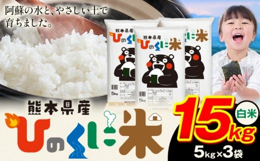 白米 ひのくに米 15kg 《9月下旬-11月上旬頃出荷》 食品 米 こめ コメ 熊本県産 ふるさと納税 お米 おこめ 熊本