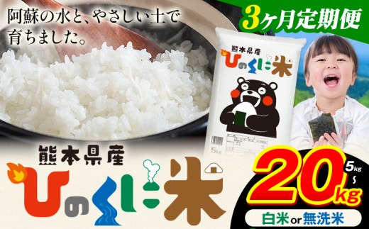 [3ヶ月定期便] 白米 無洗米 ひのくに米 選べる内容量 5kg 10kg 15kg 20kg [お申込み月の翌月から出荷開始] 食品 米 こめ コメ 熊本県産 ふるさと納税 お米 おこめ 熊本