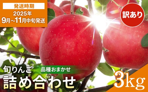 ＼出荷中／ 訳あり りんご 早生 品種おまかせ 家庭用 3kg さんさ こうりん シナノスイート シナノゴールド トキ アキタゴールド 秋田紅あかり の中から 濃厚 で ジューシー な 美味しい 林檎 をお届け【藤山果樹園】[J5-2801]