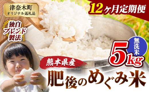 【12ヶ月定期便】無洗米 熊本県産 ブレンド米 肥後のめぐみ米 5kg 熊本県産 ふるさと納税 精米 米 こめ ふるさとのうぜい コメ お米 おこめ《申込月の翌月から出荷開始》