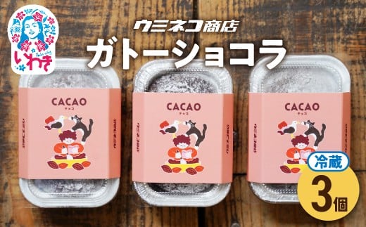 粉とカカオ 3個入り ウミネコ商店のガトーショコラ | ウミネコ商店 ガトーショコラ スイーツ 洋菓子 濃厚 チョコレートケーキ 個包装 お取り寄せ ギフト プレゼント デザート 贈答用 | US009-3s 2268485 - 福島県いわき市