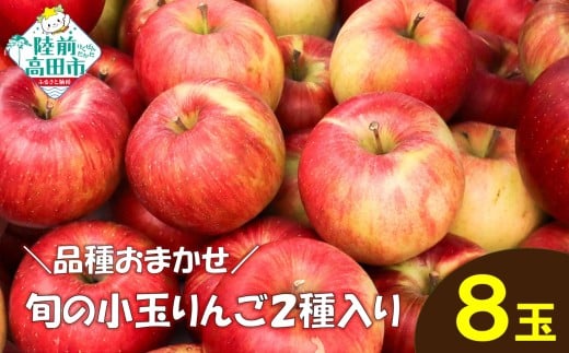 品種おまかせ★ 食べ比べが楽しい! 旬の小玉りんご2種類 8個入り (家庭用) [ りんご リンゴ 林檎 産地直送 訳あり セット 詰め合わせ ギフト ]