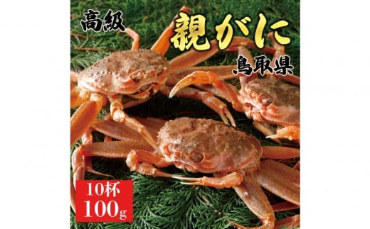 1073.【2025年11月発送】鳥取県産 特撰 親がに 姿【セコガニ】（なま）【訳あり】100g 10杯