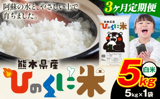 【3ヶ月定期便】 白米 ひのくに米 5kg 《お申込み月の翌月から出荷開始》 食品 米 こめ コメ 熊本県産 ふるさと納税 お米 おこめ 熊本