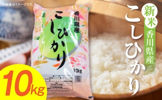 【令和7年産】香川県産こしひかり 10kg（紙袋配送）|新米 コシヒカリ こしひかり 10kg 米 白米 ごはん ご飯 朝食 白ご飯 おにぎり お弁当 おむすび お米 国産 美味しい ツヤ モチモチ 精米 おすすめ 香川県 三木町 |_mk132-110-02 2268944 - 香川県三木町