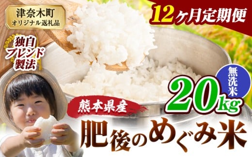 【12ヶ月定期便】無洗米 熊本県産 ブレンド米 肥後のめぐみ米 20kg 熊本県産 ふるさと納税 精米 米 こめ ふるさとのうぜい コメ お米 おこめ《申込月の翌月から出荷開始》