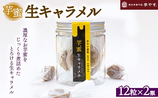 芋蜜生キャラメル12個入り 2個セット ※離島への配送不可