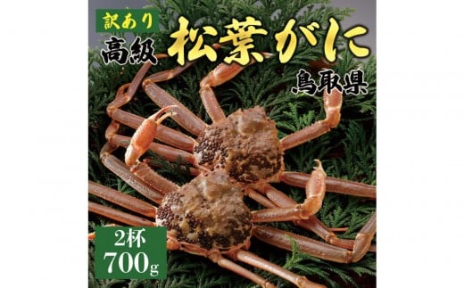 1051.【2025年11月発送】特撰 松葉がに（なま）【訳あり】700g超のサイズ 食べ応えあり 2杯
