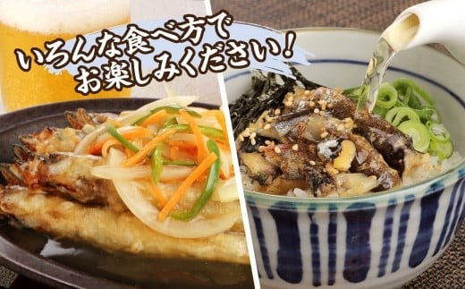 国内加工 塩ししゃも 5箱セット 773704 - 三重県四日市市