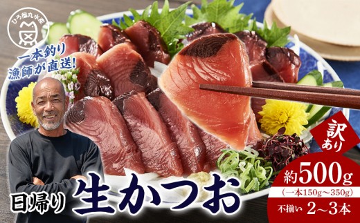 かつお一本釣り漁師が直送！ 日帰り生かつお 訳あり 約500g入 2267536 - 和歌山県白浜町