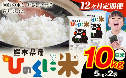 【12ヶ月定期便】 白米 ひのくに米 10kg 《お申込み月の翌月から出荷開始》 食品 米 こめ コメ 熊本県産 ふるさと納税 お米 おこめ 熊本