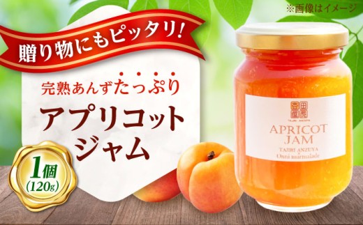 ジャム 田尻あんずのアプリコットジャム 120g 1個入り 広島県福山市/田尻杏屋 あんず アプリコット 杏 フルーツ 果物 [BAEK002]
