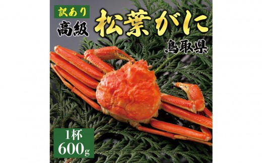 1053.【2025年11月発送】特撰 松葉がに（茹）【訳あり】600g超のサイズ 食べ応えあり 1杯