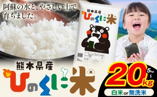 無洗米 白米 ひのくに米 選べる 5kg 10kg 15kg 20kg [9月下旬-11月上旬頃出荷]食品 米 こめ コメ 熊本県産 ふるさと納税 お米 おこめ 熊本 むせんまい