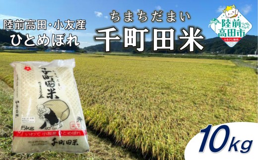 【先行予約】 令和7年産 新米 布袋様パッケージのひとめぼれ 千町田米(ちまちだまい) 10kg 【 お米 精米 白米 ひとめぼれ 産地直送 数量限定 】 2025年10月頃から順次発送予定 RT3028