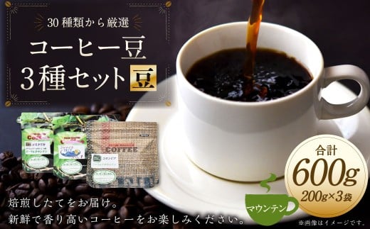 コーヒー豆 3種類 セット 【豆】 （マウンテンセット） 珈琲 コーヒー マウンテン 厳選 岐阜県 美濃加茂市