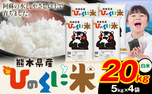 白米 ひのくに米 20kg 《9月下旬-11月上旬頃出荷》 食品 米 こめ コメ 熊本県産 ふるさと納税 お米 おこめ 熊本 2178578 - 熊本県産山村