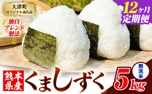 【12ヶ月定期便】無洗米 熊本県産 ブレンド米 くましずく 5kg 熊本県産 ふるさと納税 無洗米 精米 米 こめ ふるさとのうぜい コメ お米 おこめ《申込み翌月から発送》