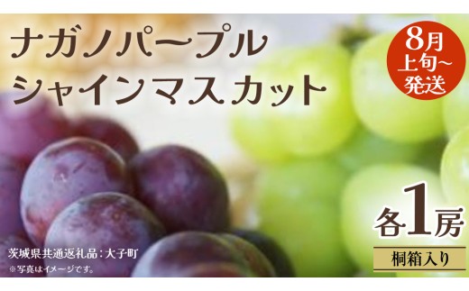 【 桐箱入り 】 ナガノパープル と シャインマスカット (各１房)【2025年8月上旬発送開始】(茨城県共通返礼品：大子町) ぶどう 葡萄 マスカット フルーツ 果物 贈答用 ギフト 贈り物