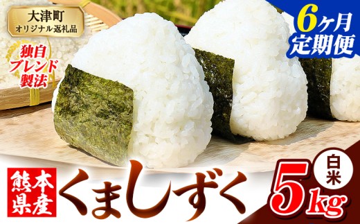 【6ヶ月定期便】白米 熊本県産 ブレンド米 くましずく 5kg 熊本県産 ふるさと納税 白米 精米 米 こめ ふるさとのうぜい コメ お米 おこめ《申込み翌月から発送》