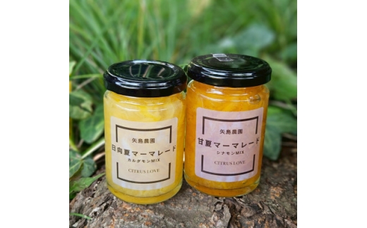 柑橘農家の自家製マーマレード3種セット　手作りで自然な甘さをお届けします＜先行受付＞【1657110】