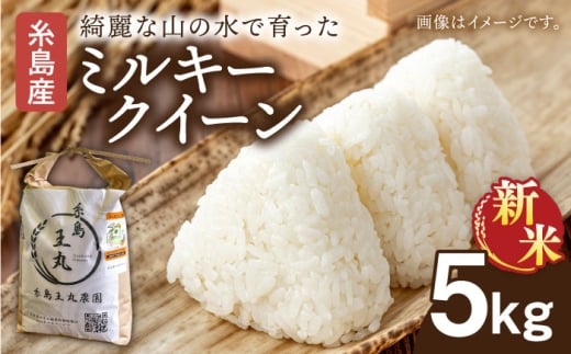 【令和7年産新米】糸島産 ミルキークイーン 5kg 【2025年10月中旬より順次発送】糸島市／糸島王丸農園（ 谷口汰一 ）【いとしまごころ】 米 [AAZ019]