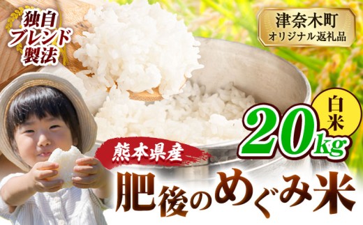 白米 熊本県産 ブレンド米 肥後のめぐみ米 20kg 熊本県産 ふるさと納税 精米 米 こめ ふるさとのうぜい コメ お米 おこめ《9月下旬-11月上旬頃出荷》 2270362 - 熊本県津奈木町